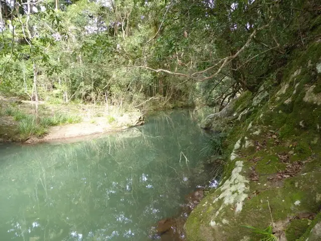 Sixth view of Homely rural property listing, 142 Wanganui Rd, Mullumbimby NSW 2482