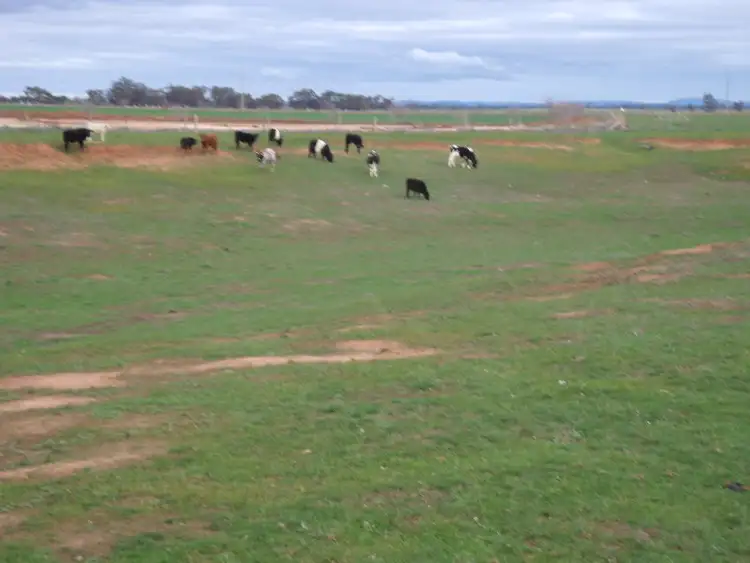 Seventh view of Homely rural property listing, Bridgewater - Maldon Road, Bridgewater On Loddon VIC 3516
