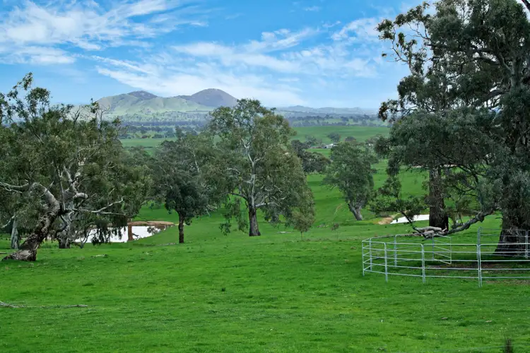 Third view of Homely rural property listing, 161 McLeod Lane, Mansfield VIC 3722