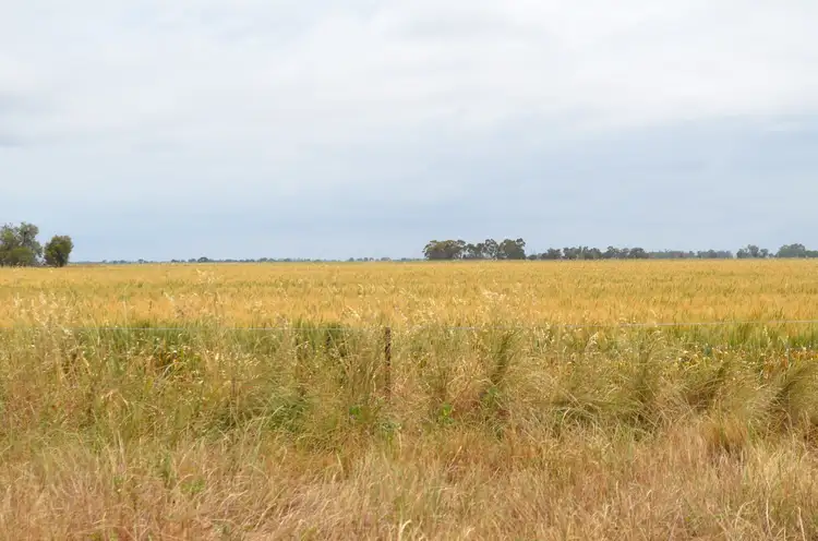 Seventh view of Homely rural property listing, Address available on request