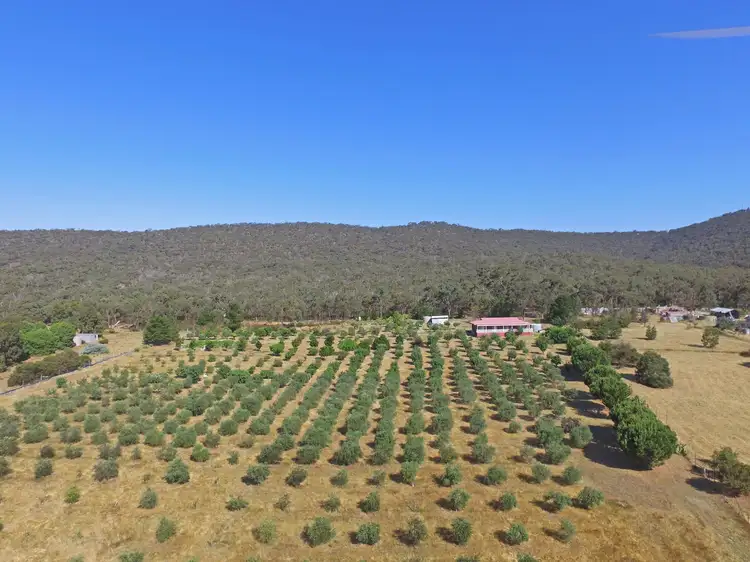 Third view of Homely rural property listing, 694 Northern Highway, Heathcote VIC 3523