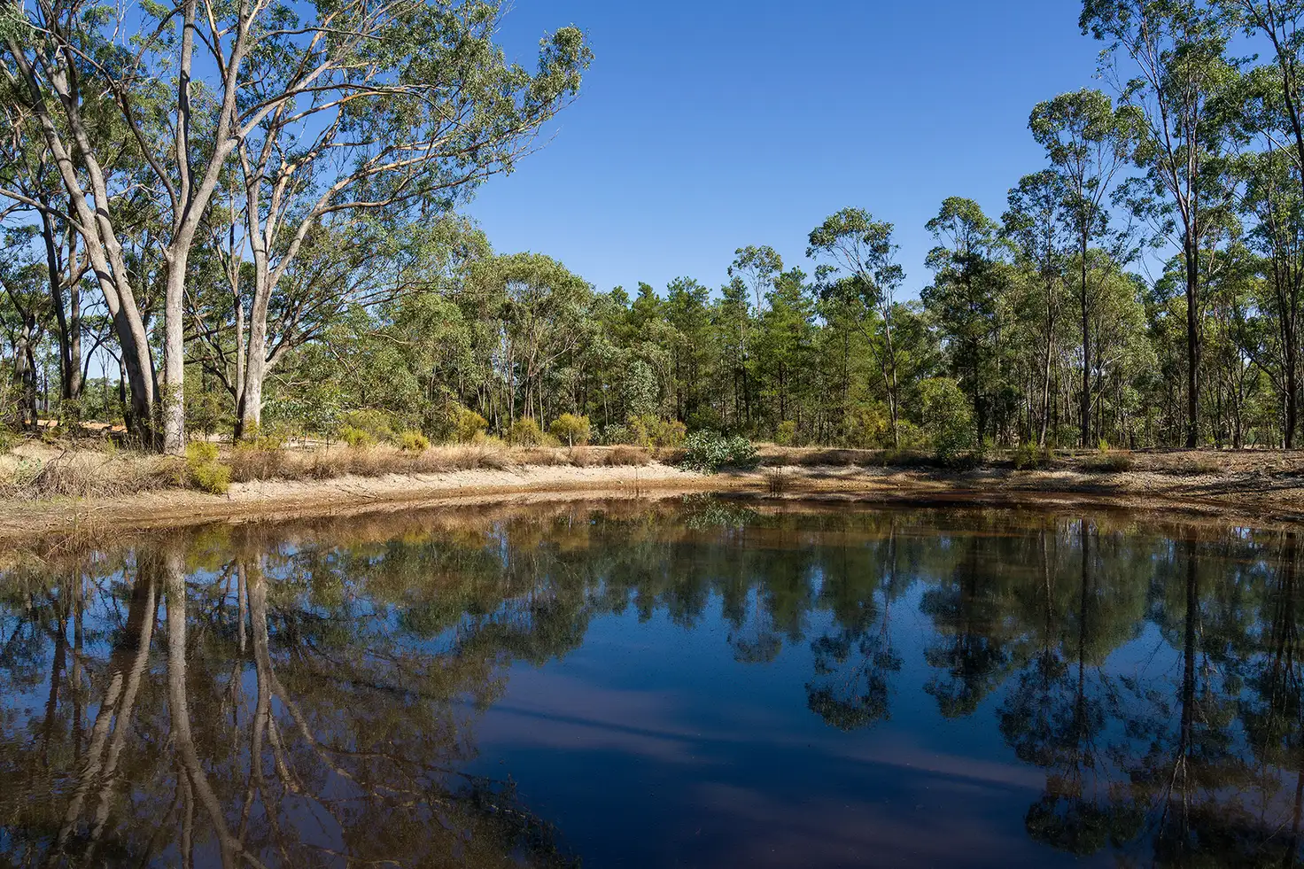 Main view of Homely land listing, 1697 Pyrenees Highway, Mckenzie Hill VIC 3451
