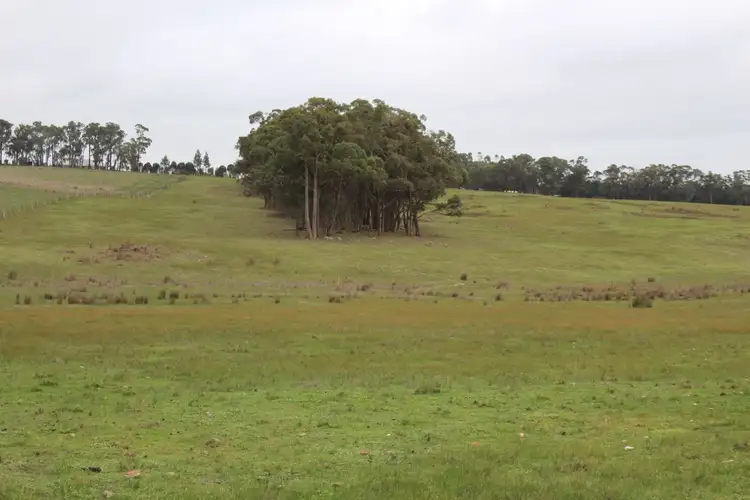 Fifth view of Homely rural property listing, LOT 2 Junipers Road, Haddon VIC 3351