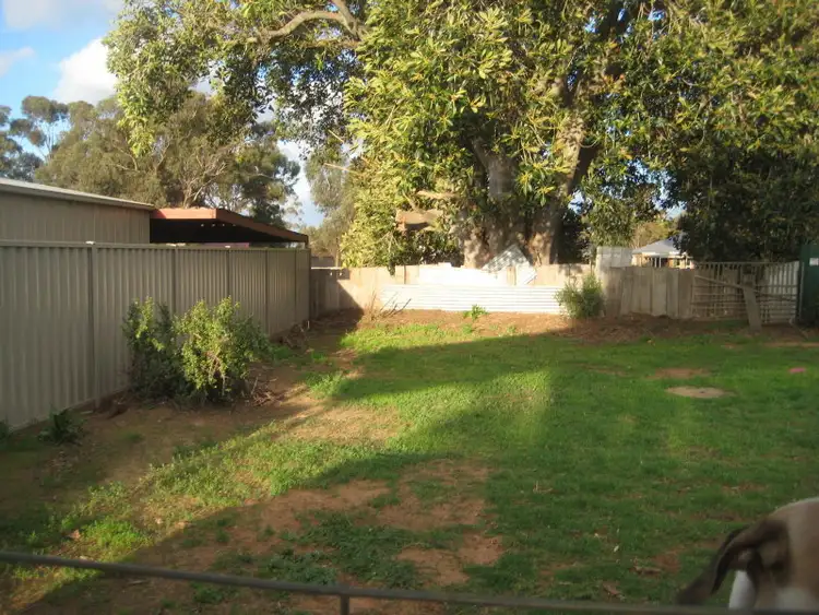 Seventh view of Homely house listing, 17 Baynes street, Rochester VIC 3561
