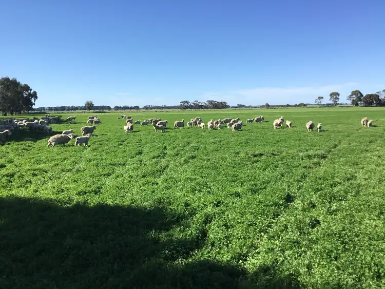 Third view of Homely rural property listing, 8145 Glenelg Highway, Dunkeld VIC 3294