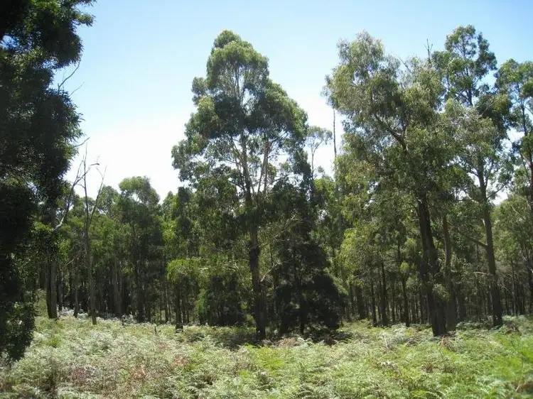 Main view of Homely land listing, 80 Beaches Lane, Newbury VIC 3458