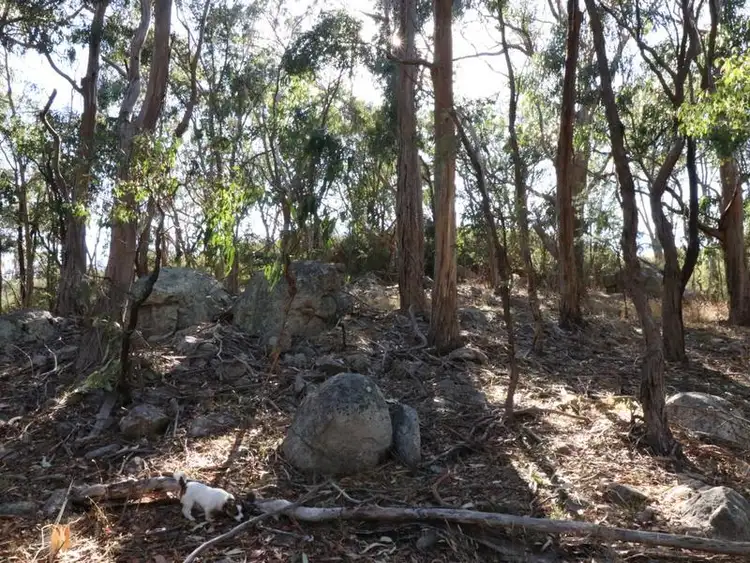 Fifth view of Homely land listing, 291 Old Highlands Road, Highlands VIC 3660