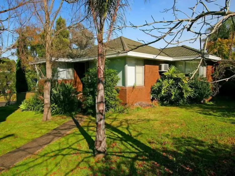 Address available on request