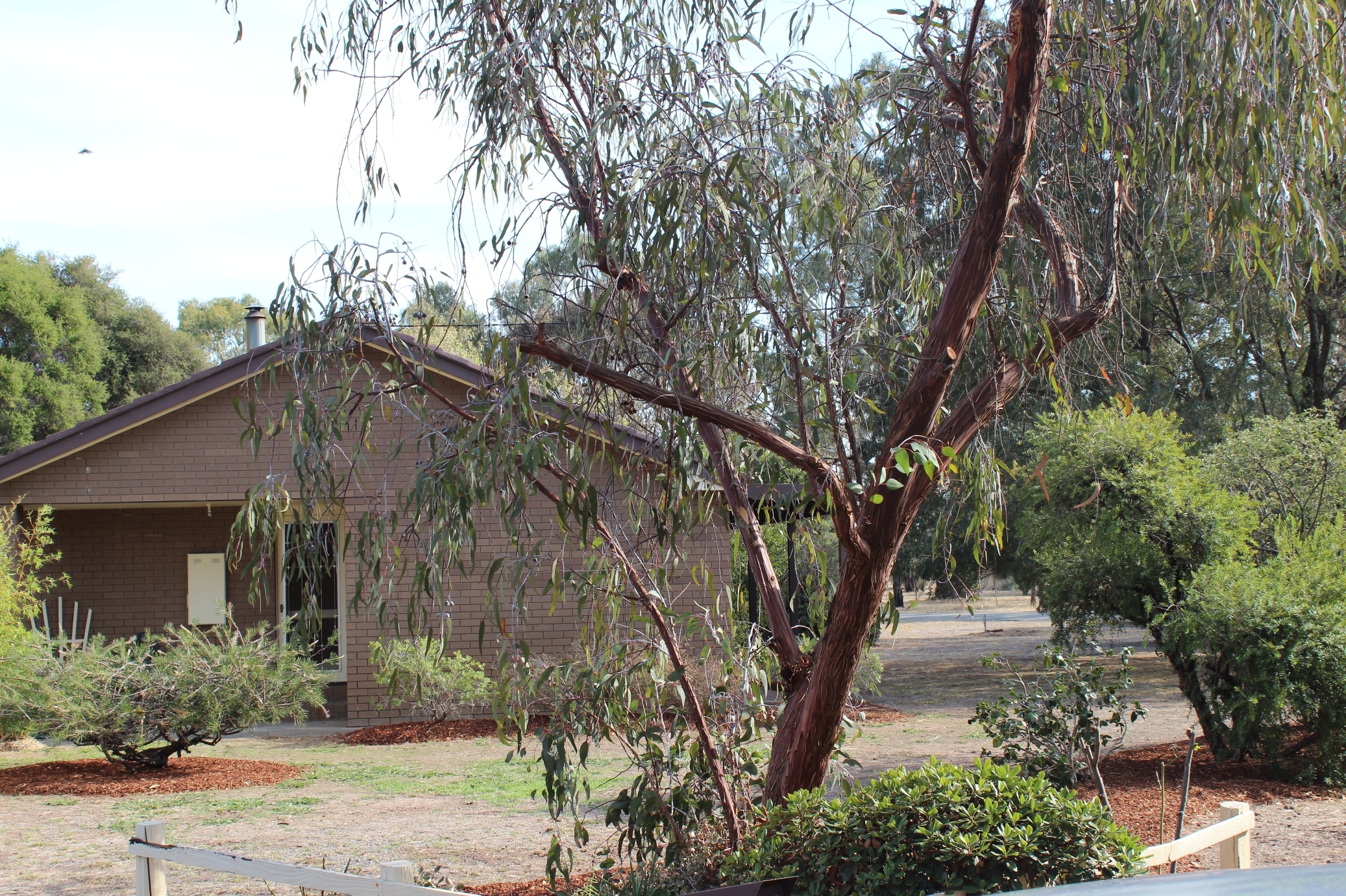 Main view of Homely house listing, 65 Shiffner Street, Violet Town VIC 3669