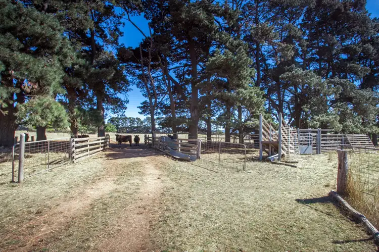 Fourth view of Homely land listing, 238 Grahams Road, Lancefield VIC 3435
