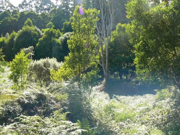 Sixth view of Homely rural property listing, 70 Great Ocean Road, Lavers Hill VIC 3238