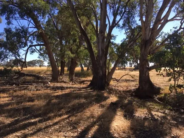 Third view of Homely rural property listing, Cnr Northern Highway & Carmody Road (2), Toolleen VIC 3551