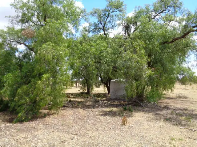 Second view of Homely rural property listing, LOT 16 Mustey Road, Corop VIC 3559