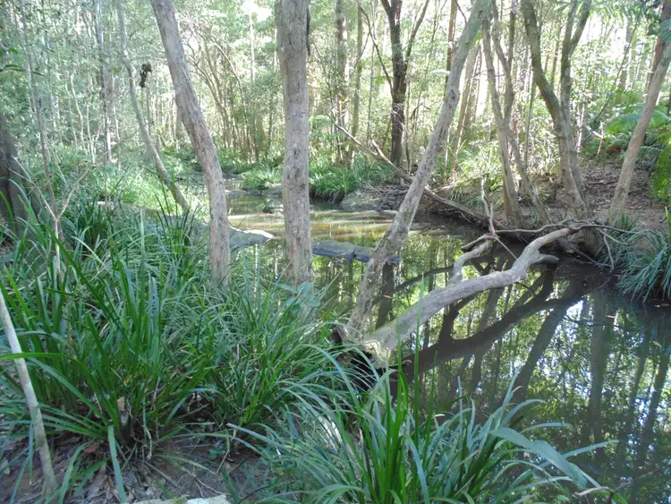 Second view of Homely rural property listing, 747 Browns Creek Road, Eerwah Vale QLD 4562