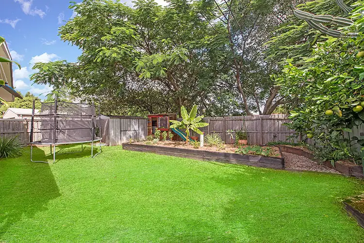 Third view of Homely house listing, 8 Rosewood Court, Mullumbimby NSW 2482