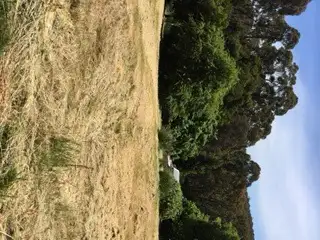 Second view of Homely land listing, 31 Golden Point Road, Blackwood VIC 3458