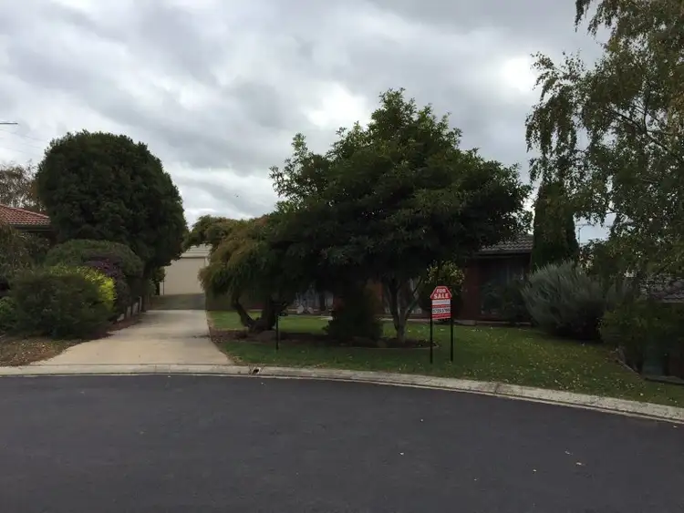 Fifth view of Homely house listing, 14 Madeley Terrace, Mount Gambier SA 5290