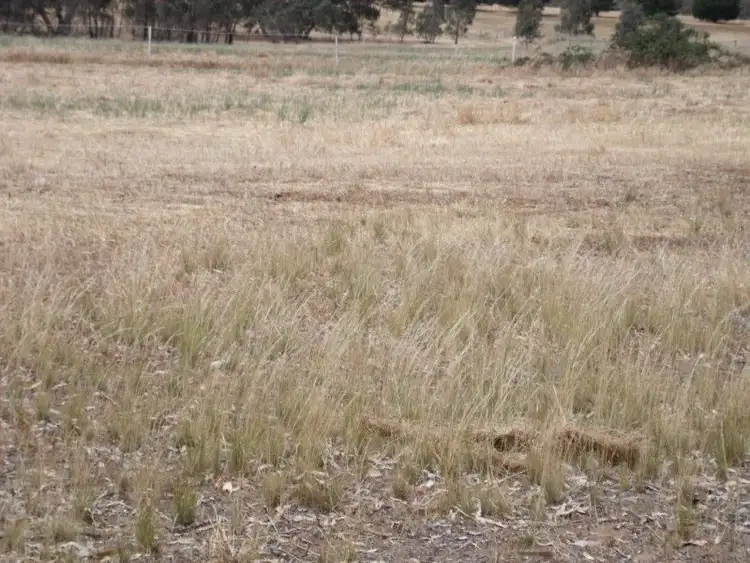 Fifth view of Homely land listing, 540 Calder Alternative Highway, Lockwood South VIC 3551