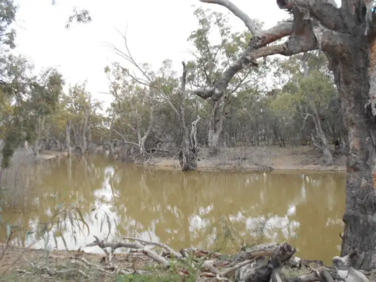 Main view of Homely rural property listing, 1 Swan Hill Road, Barham NSW 2732