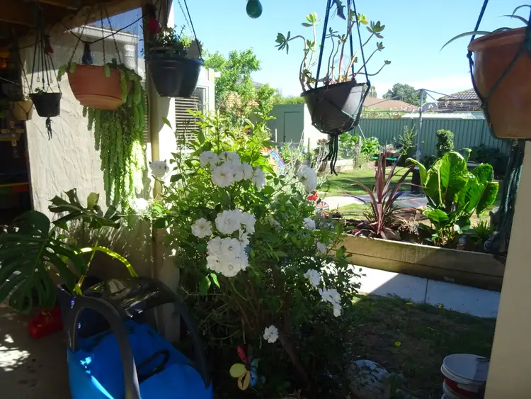Sixth view of Homely house listing, 1008 Grevillea Road, Wendouree VIC 3355
