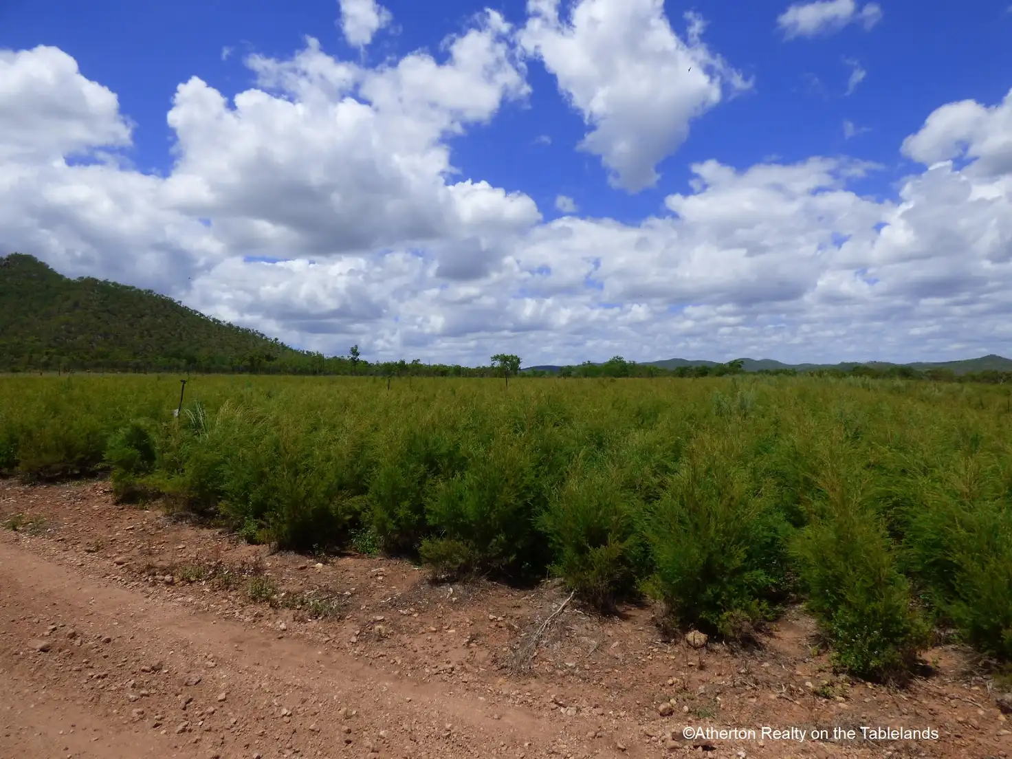 Main view of Homely rural property listing, Address available on request