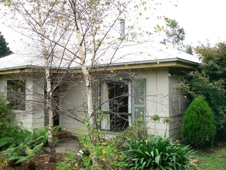 Second view of Homely house listing, 67 Main Road, Beech Forest VIC 3237