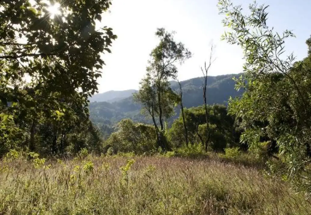 Main view of Homely land listing, 833 The Pocket Road, The Pocket NSW 2483