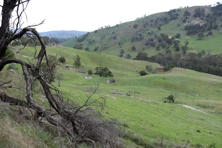 Second view of Homely rural property listing, 571 Molesworth Dropmore Road, Molesworth VIC 3718