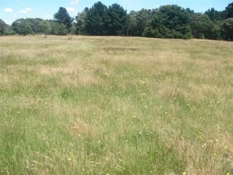 Main view of Homely land listing, 28-34 Clarke Street, Branxholme VIC 3302