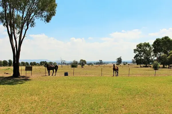 Fourth view of Homely rural property listing, 645 Dights Forest Road, Table Top NSW 2640