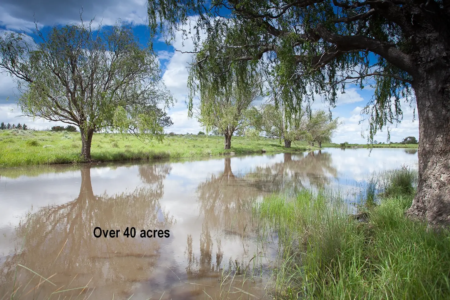 Main view of Homely rural property listing, 284 Boggygate Road, Clarkefield VIC 3430