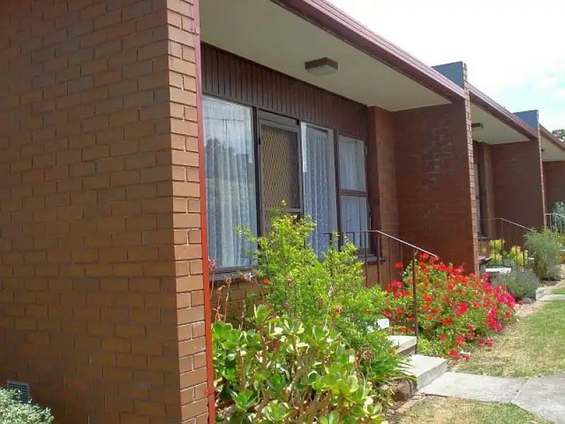 Main view of Homely unit listing, 1/67 Heytesbury street, Herne Hill VIC 3218