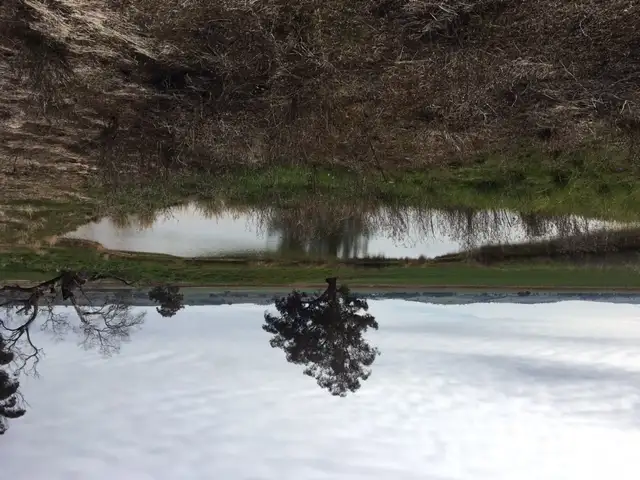 Sixth view of Homely rural property listing, Plain Road, Colbinabbin VIC 3559