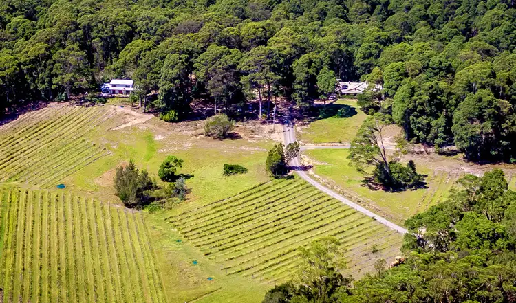 Sixth view of Homely rural property listing, 947 Old Highway, Central Tilba NSW 2546