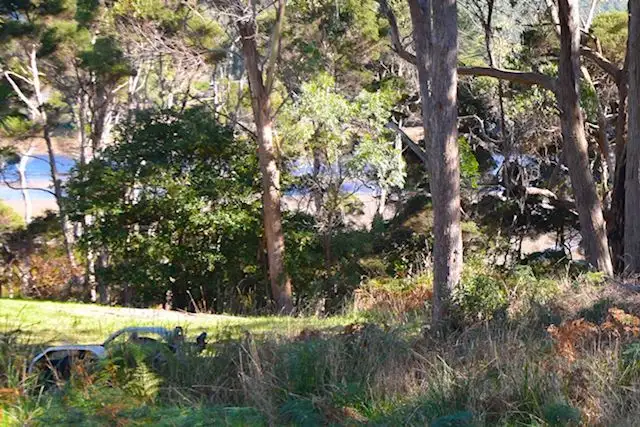 Main view of Homely land listing, 1 River Avenue, Heybridge TAS 7316