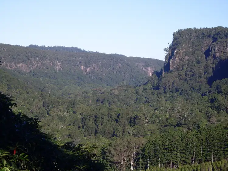 Second view of Homely rural property listing, 142 Wanganui Rd, Mullumbimby NSW 2482