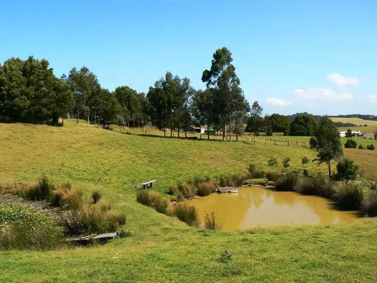 Fourth view of Homely rural property listing, 40 Dehnerts Track, Beech Forest VIC 3237