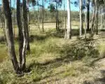 Third view of Homely land listing, LOT 10/40 Inspiration Drive, Logan Village QLD 4207