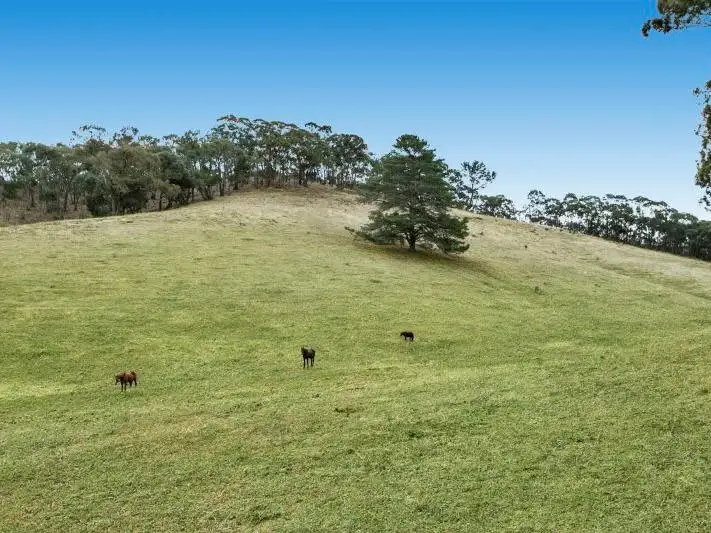 Seventh view of Homely land listing, 191 Specimen Gully Road, Barkers Creek VIC 3451
