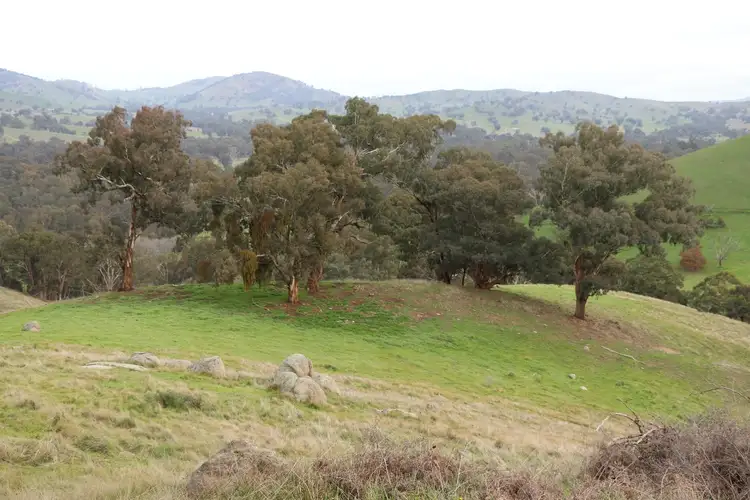 Main view of Homely rural property listing, 571 Molesworth Dropmore Road, Molesworth VIC 3718
