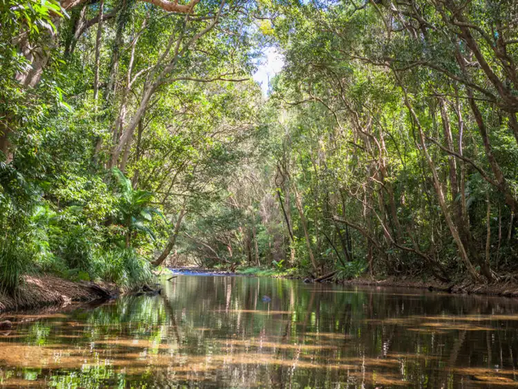 Seventh view of Homely land listing, 35 Jak Gee Street, Redlynch QLD 4870