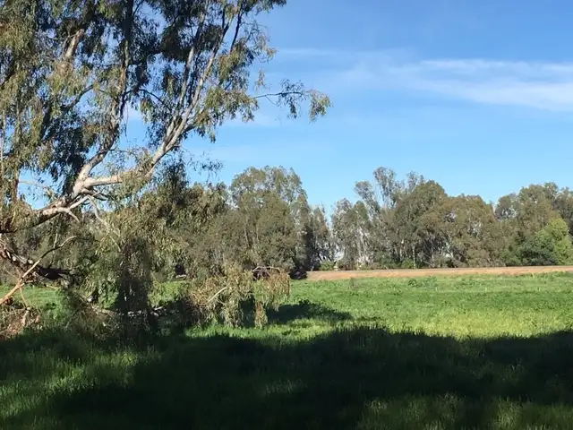 Third view of Homely land listing, 0 Mackay Street (5 ACRES), Rochester VIC 3561