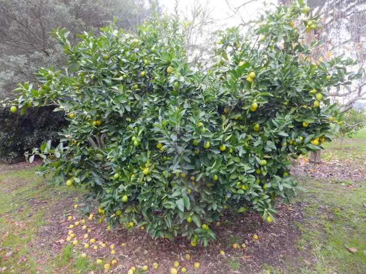 Third view of Homely rural property listing, 1760 Lardners Track, Warragul VIC 3820