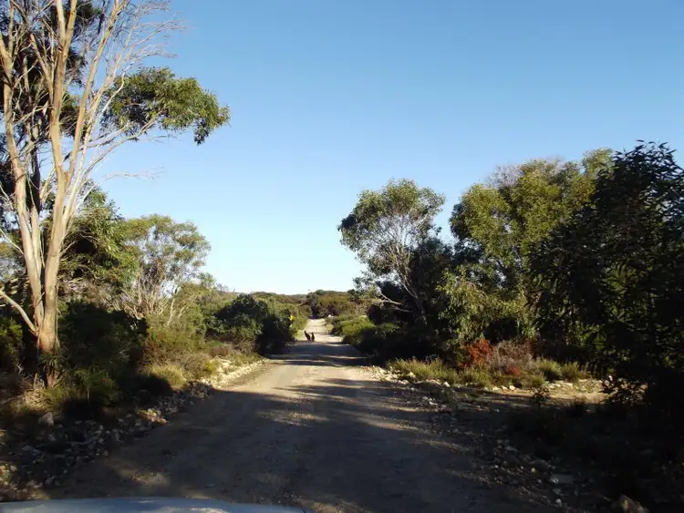 Seventh view of Homely rural property listing, 11 Cathers Rd, Pelican Lagoon SA 5222
