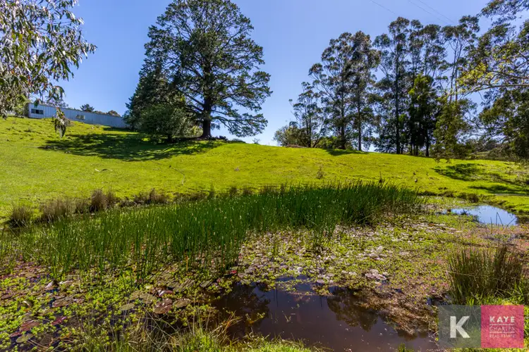 Second view of Homely rural property listing, 90 Beaconsfield Emerald Road, Dewhurst VIC 3808