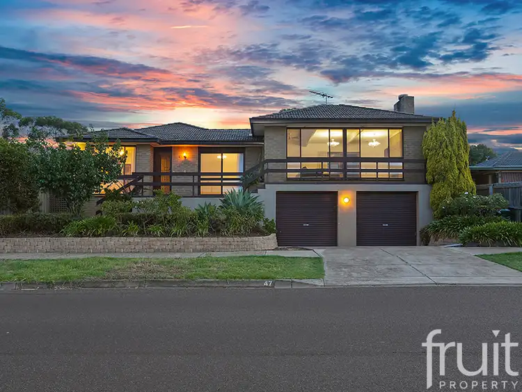 Main view of Homely house listing, 47 Peter Street, Grovedale VIC 3216