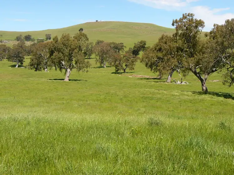 Third view of Homely rural property listing, 585 Kilmuir Lane, Mansfield VIC 3722