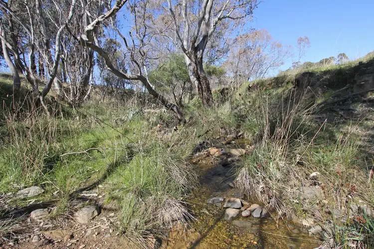 Third view of Homely land listing, LOT 1 Barry Lane, Tooborac VIC 3522