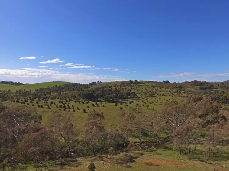 Main view of Homely land listing, LOT 1 Barry Lane, Tooborac VIC 3522