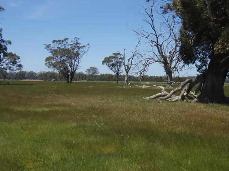 Sixth view of Homely rural property listing, Plain Road, Colbinabbin VIC 3559